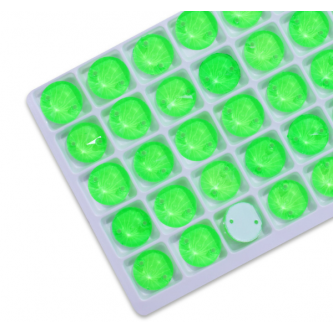 Crystal Green Neon