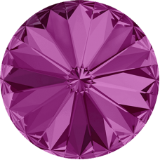 Fuchsia F