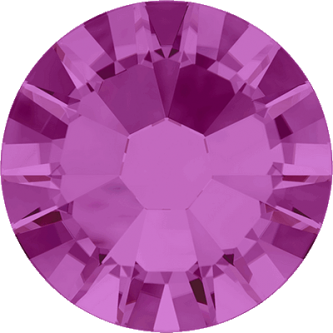 Fuchsia (502)
