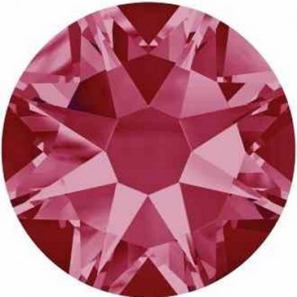 Indian Pink (289)