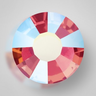 Indian Pink (70040) HF