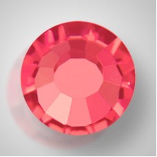 Indian Pink (70040)