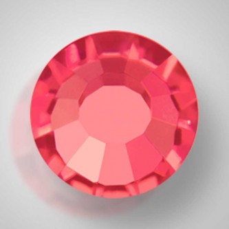 Indian Pink (70040)