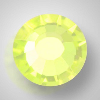 Jonquil (80100)