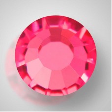 Fuchsia (70350)