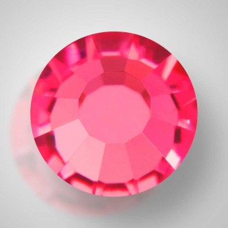 Fuchsia (70350)