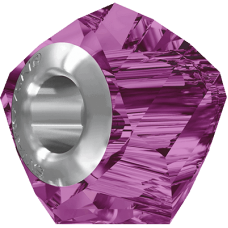 Fuchsia (502)