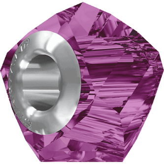 Fuchsia (502)